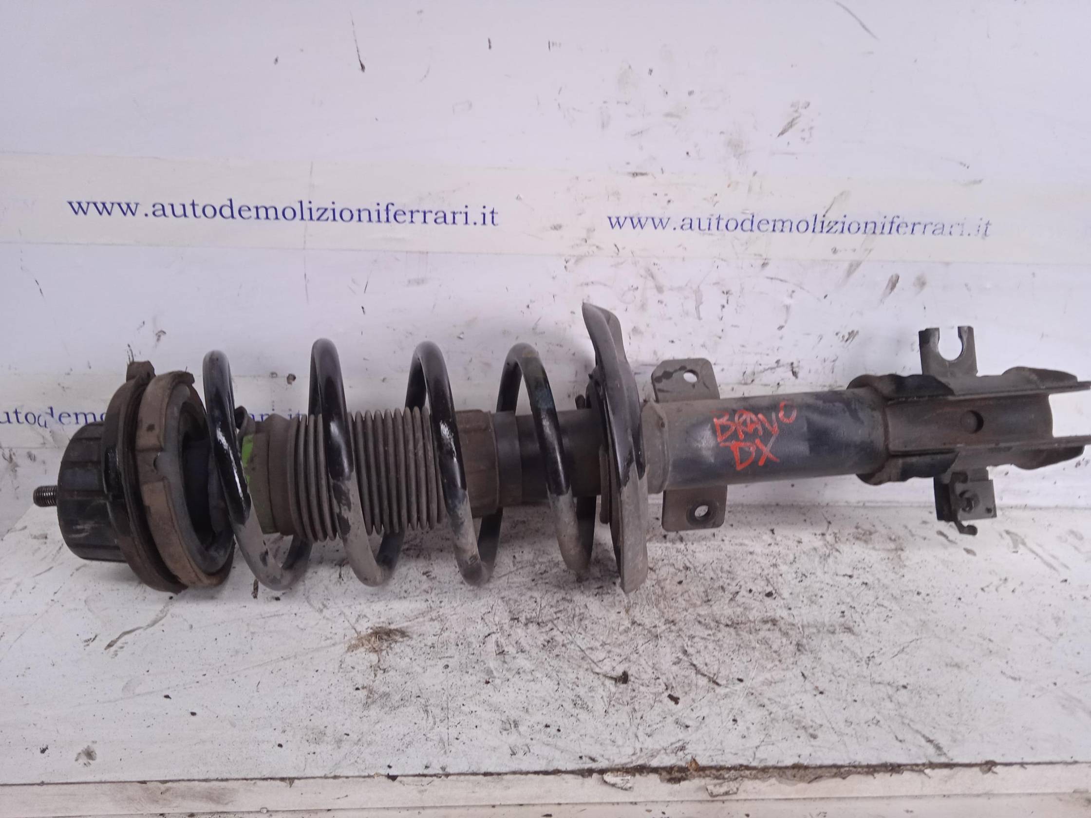 Ammortizzatore ant. dx.